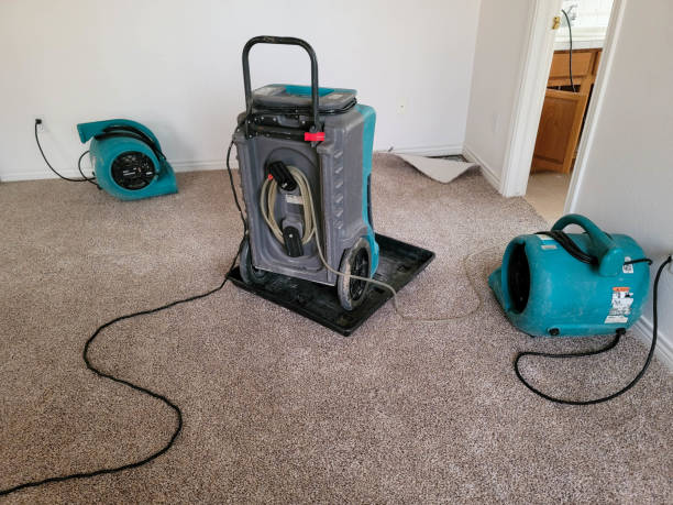 Best Sewage cleanup and water damage restoration  in New Cumberland, PA