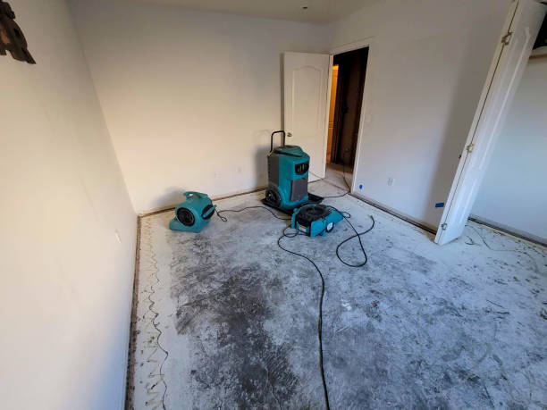 Best Flood restoration services  in New Cumberland, PA