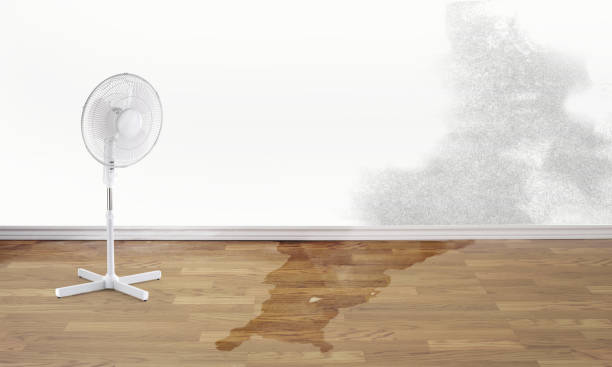 Best Water damage restoration near me  in New Cumberland, PA