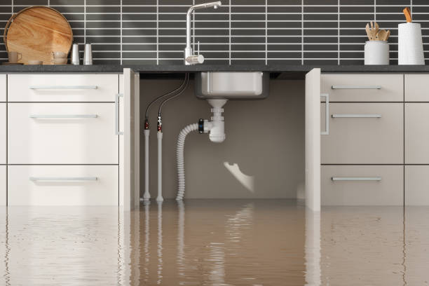 Best Fire Damage Restoration  in New Cumberland, PA