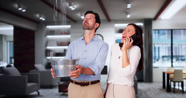 Best Sewage cleanup and water damage restoration  in New Cumberland, PA