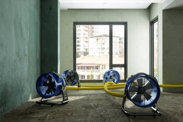 Best Flood restoration services  in New Cumberland, PA